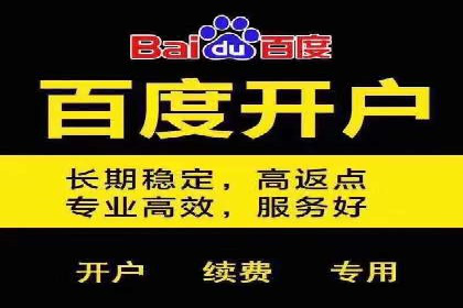 案例分享：竞价代运营助力企业增长